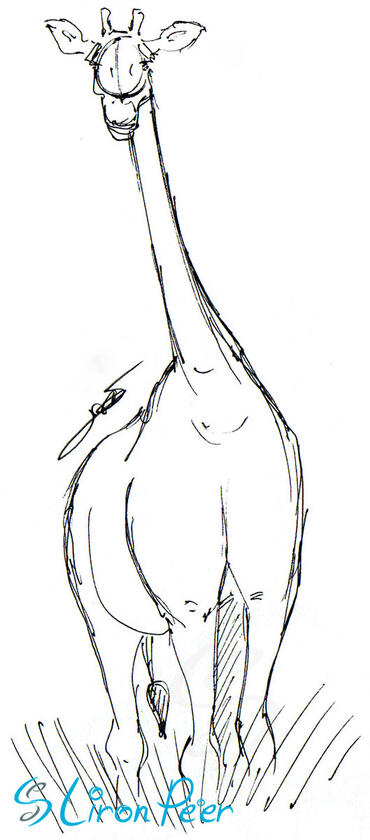 Giraffe Standing Sketch