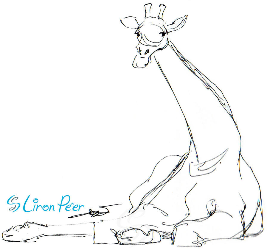 Giraffe Sitting Sketch Giraffe Sitting Sketch