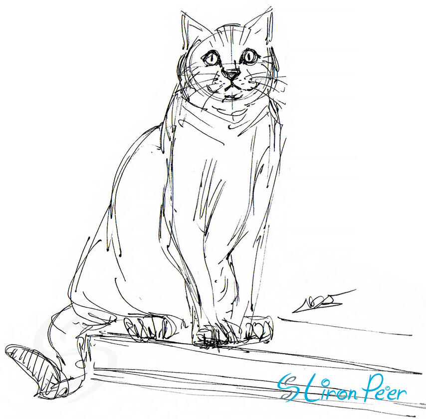 Cat Standing Sketch