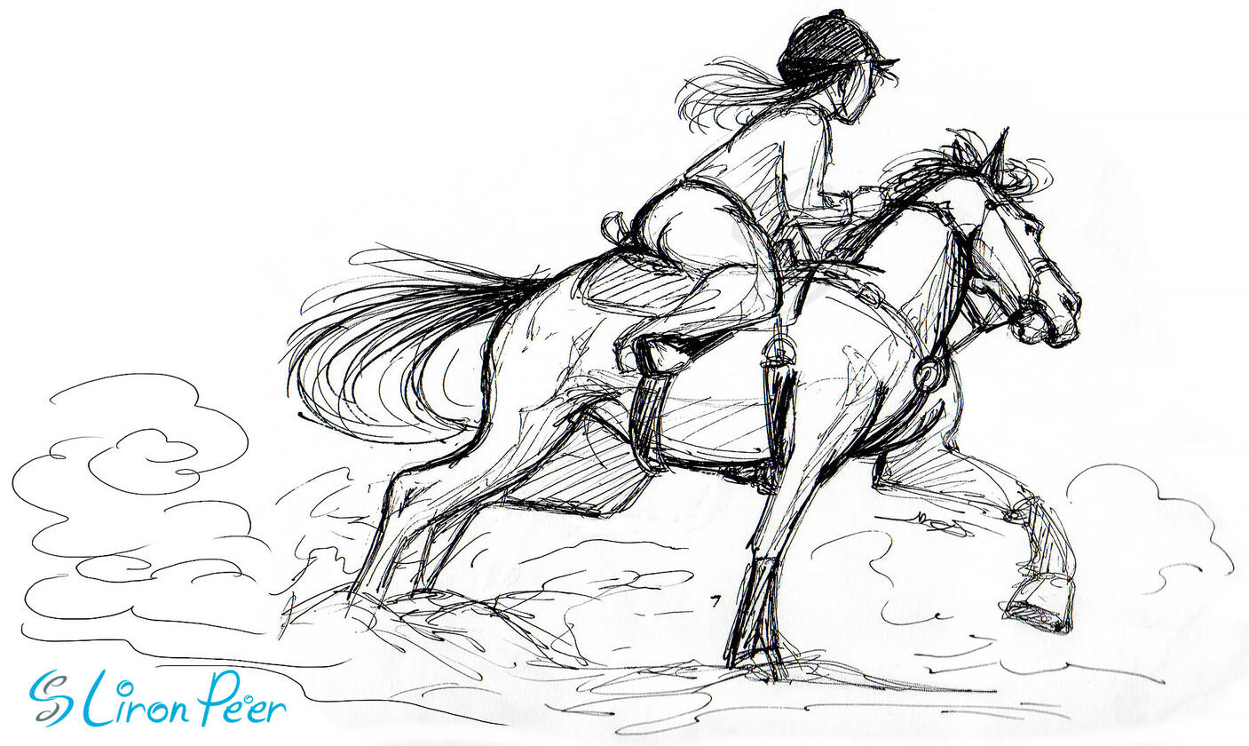 Horse and Rider Sketch