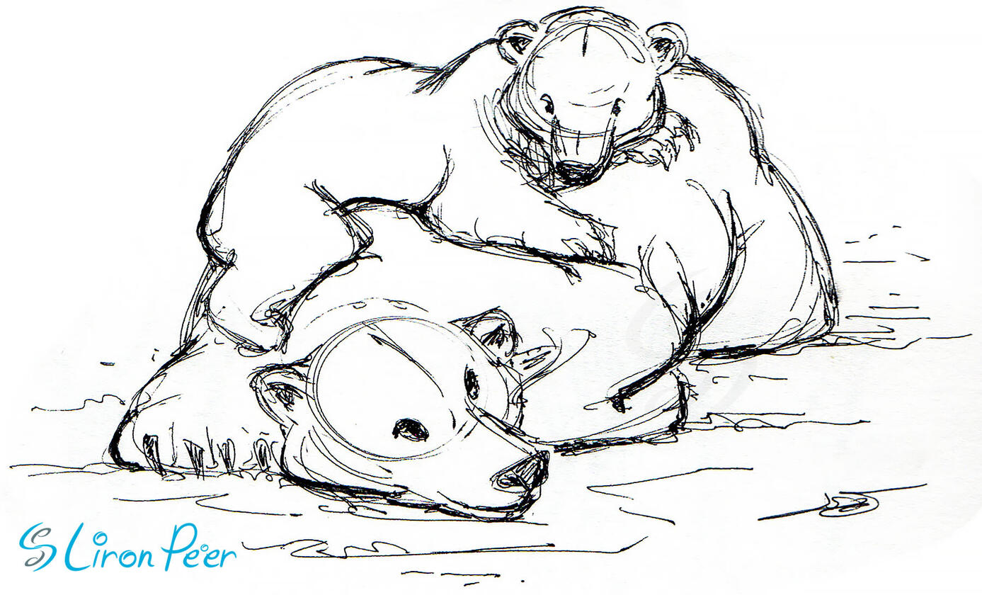 Mother Bear and Cub Sketch
